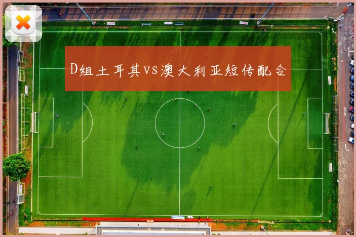 D组土耳其vs澳大利亚短传配合