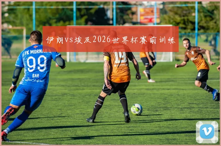 伊朗vs埃及2026世界杯赛前训练