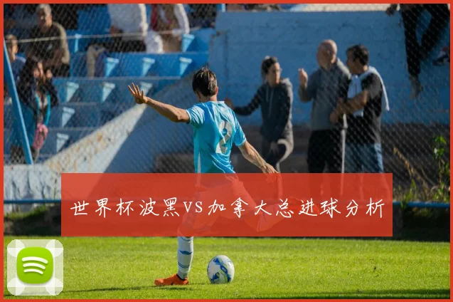 世界杯波黑vs加拿大总进球分析