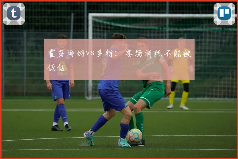 霍芬海姆vs多特:客场消耗不能被低估